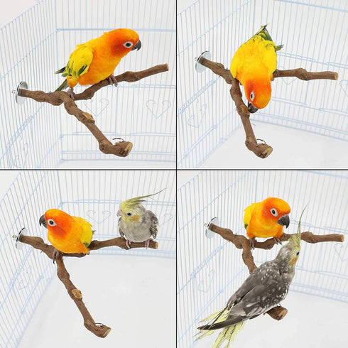 PINVNBY Natural Parrot Perch Bird Stand Pole, 2PCS Wild Grape Stick for Small Lovebirds Budgies Cockatiels