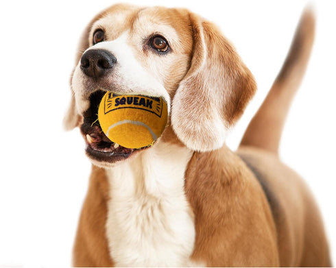 PetSport Squeak Tennis Ball Dog Toys, 3 Pack Small (1.8") Junior Tuff Squeaker Balls for Dogs