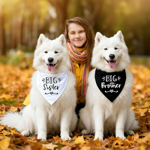 2 Pack Dog Bandanas for Pregnancy Announcement, Cute Adjustable Pet Bandana Scarf for Small Medium Large Dogs, Gender