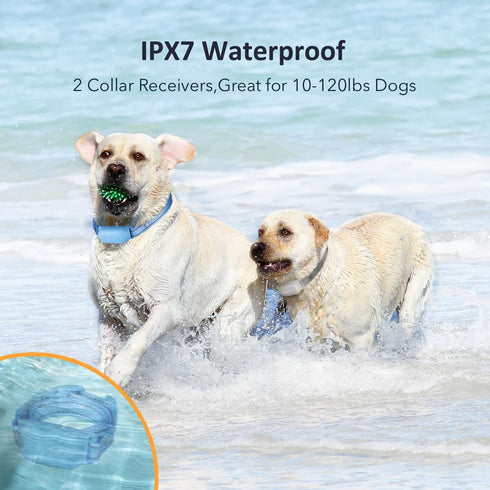 PATPET Shock Collar for Dogs, 10-120lbs, 4000ft Rechargeable IPX7 Waterproof Training Collar with Remote for 2 Dogs