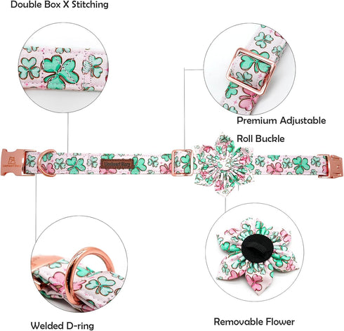 Lionheart Glory St. Patrick's Day Dog Collar, Green Flower Collar with Lucky Clover Shamrock for Large Dogs