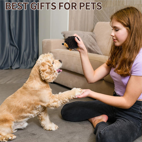 Plush Hedgehog Dog Toys 3 PCS - Squeaky Stuffless Hedgehog for Small and Medium Dogs, Interactive Pet Toys