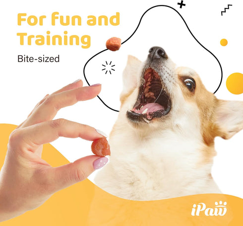 Dog Treats for Puppy Training, All Natural Human Grade Dog Treat, Hypoallergenic, Easy to Digest (Chicken Tots)