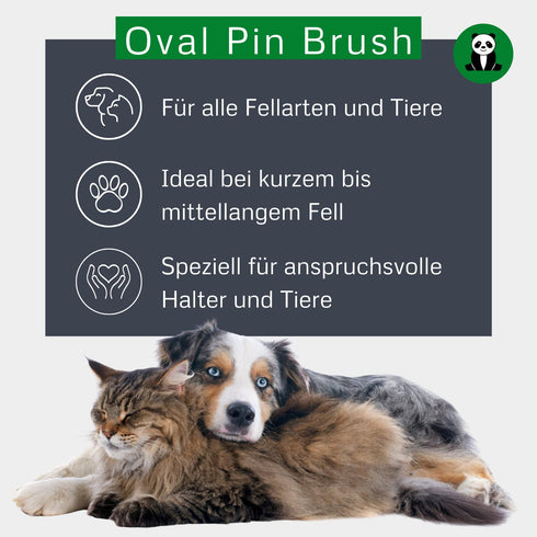 Bamboo Groom Oval Pin Brush w/Pins Small/Medium