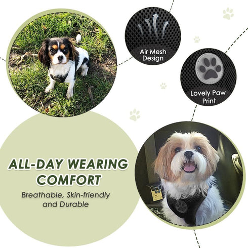 Lukovee Adjustable Dog Seat Belt, Soft Padded & Breathable Mesh Car Harness for Large, Medium & Small Dogs (Black,