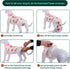 Kuoser Recovery Suit for Dogs Cats - After Surgery Professional Pet Recovery Shirt, Prevent Licking