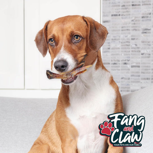 Fang and Claw 75 Count Pack Nail-Free Chicken Feet for Dogs, Bulk Single-Ingredient Air-Dried Dog Chews, Glucosamine