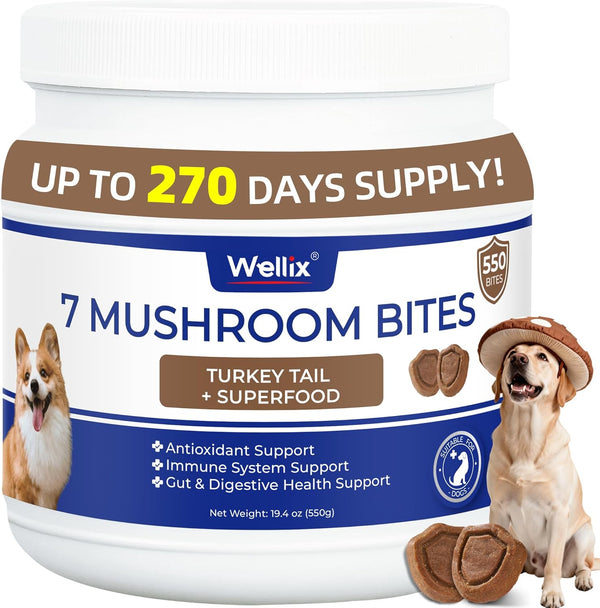 550 Bites Turkey Tail Mushroom for Dogs - Immune, Gut, Skin, Joint