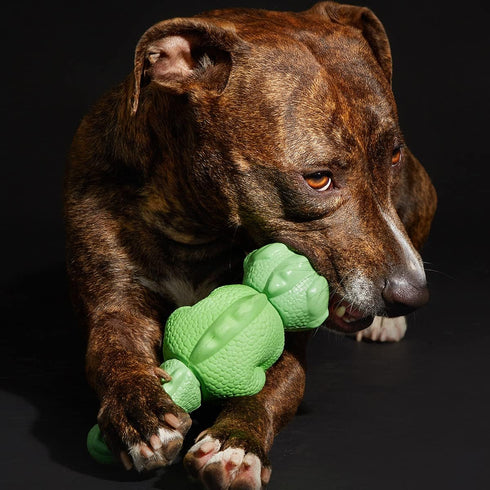 Barkbox Super Chewer Tough Dog Chew Toys for Aggressive Chewers, Dental Stimulating Iguana - Large