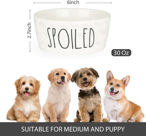 27OZ Ceramic Dog Bowl - 6'' Extra Large Food Water Dog Bowl, Heavy Duty Non-Slip Dog Dish for Medium Dogs, Food Grade Porcelain Pet Feeder Bowl, Microwave & Dishwasher Safe, White