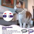 EXPAWLORER Soft Velvet Cat Collars for Girls - 2 Pack Adjustable Rhinestones Bling Breakaway Collars with Bells