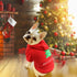 HYLYUN Puppy Christmas Outfit 2 Packs, Small Dog Santa Claus Suit Hoodies for Small Dogs and Cats