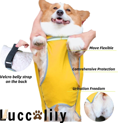 Dog Raincoat with Hood for Medium Dog - Luccalily Waterproof Jacket with Reflective Strip, Adjustable Belly Strap