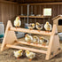 Rliguanrui -size13 5.9" 6.5" Chicken Perch for Coop L x W x H- Heavy Duty Poultry Roosting Bar with Natural Pine