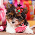 80pcs Christmas Small Dog Hair Bows, Bulk Plaids with Rubber Bands, Mix Christmas Pattern Pet Grooming Bows