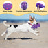 Andiker Dog Squeaky Toy, Dots Latex Chew Toys with Oinks Sound, Durable 8" Dog Squeeze Toy for Boredom