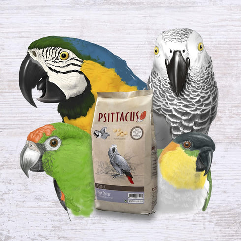 2.2 lb 100% Psittacus High Energy Hand-Feeding Formula | Diet for Baby African Greys, Macaws and Other African Parrots