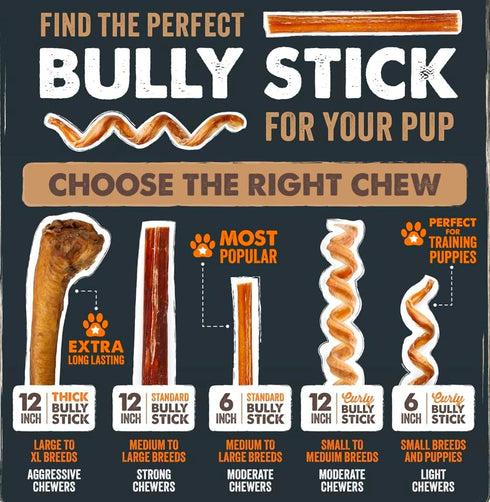 12" Mighty Paw Long Lasting Bully Sticks for Dogs - All Natural Grass Fed Beef Chews. Lower Odor Dog Bully Sticks
