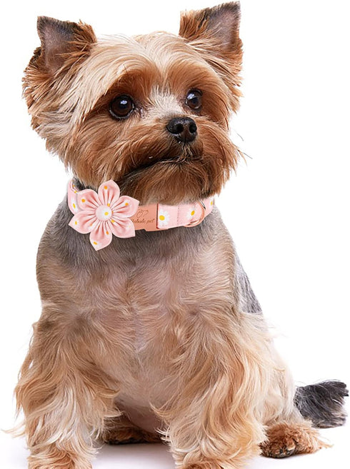 Dog Collar with Pink Daisy Flower Tie,Cotton Dog Collar with Safety Metal Buckle Adjustable Puppy Collars for Small Medium Large Boy&Girl Dog,Small,Neck 10"-16"