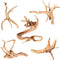 majoywoo Natural Driftwood for Aquarium Decor, 5 Pcs Assorted Spider Wood Branch 4-8"