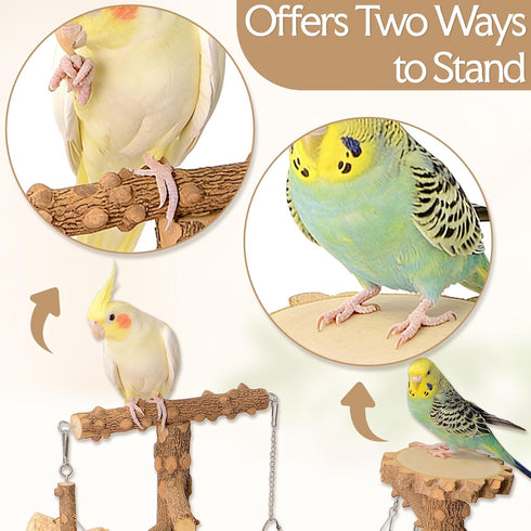 BRSLAIF Natural Wood Bird Perch Stand, Multi-Layer Parrot Playground Gym with Feeding Cups and Toys, Real Branch