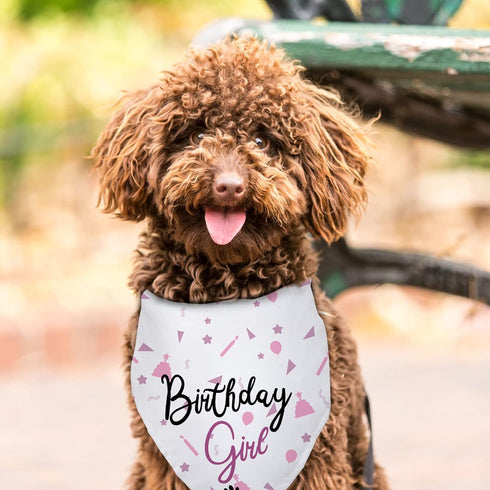 Happy Birthday Dog Bandana for Girls, Dog Birthday Bandana Pet Accessories for Large Dog Lovers