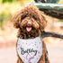 Happy Birthday Dog Bandana for Girls, Dog Birthday Bandana Pet Accessories for Large Dog Lovers