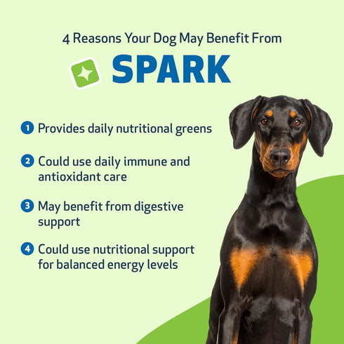 Pet Wellbeing Spark Daily Nutritional Greens Superfood for Dogs & Cats - Probiotics, Digestive Enzymes, 3.53 oz