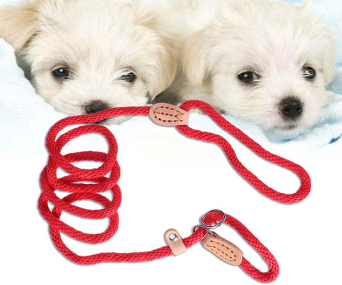 POPETPOP Nylon Dog Slip Training Leash Collar Rope for Pets, Red