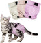 Paw Legend Cat Diapers for Female Cats Spraying Washable Reusable Kitten Diapers