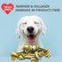 Rawhide Free Triple Dental Floss Dog Treats, 15 pcs/bag for Healthy Teeth