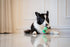8", Squeaky Dog Plush Toy, Tools Bite_Stick Collection, for Small and Medium Dogs (Wrench, Small)