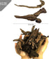 Hamiledyi 10 PCS Natural Driftwood Branches for Fish Tank Habitat Decor, Sinkable Reptile Tree Log Decorations