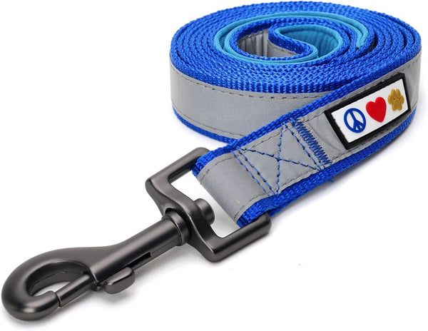 Pawtitas 6 FT Blue Padded Dog Leash with Comfortable Neoprene Handle - Medium Reflective for Large Dogs and Puppies