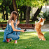 QZC Super Ultrasonic Dog Chaser Training Machine to Stop Dog Attacks and Aggression
