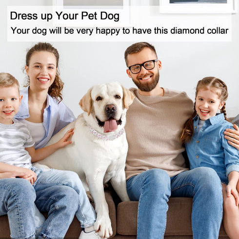 Metal Dog Training Chain with Secure Buckle, Cuban Diamond Collars for Large Medium Dogs
