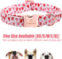 Valentine's Day Dog Collar for Medium Dogs, White Red Pink Love Collar with Safety Metal Buckle, Adjustable M-Neck
