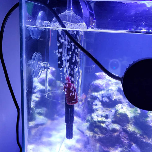 Ailindany Aquarium Air Oxygen Bubbler - Glass Cup with Water Tube and Sucker Air Stone for High Dissolved Oxygen