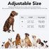 Light Up Dog Collar, Adjustable LED Dog Collar Rechargeable Waterproof for Night Walking, Glow in The Dark for Medium