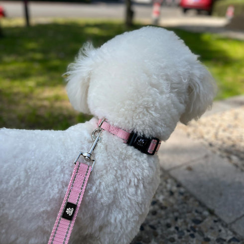 FURRYFECTION Reflective Dog Collar and Leash Set with Quick Release Buckle, Padded Neoprene for Small Medium Large Dogs