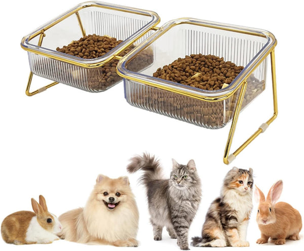Elevated Double Cat Bowls, 5.7" Pets Water and Food Bowl, 15° Tilted Transparent Raised Dishes with Iron Stand, Rose
