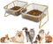 Elevated Double Cat Bowls, 5.7" Pets Water and Food Bowl, 15° Tilted Transparent Raised Dishes with Iron Stand, Rose