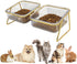 Elevated Double Cat Bowls, 5.7" Pets Water and Food Bowl, 15° Tilted Transparent Raised Dishes with Iron Stand, Rose