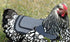 DOWN UNDER OUTDOORS Chicken Saddle with Adjustable Straps for Medium and Large Hens, Chicken Apron, Poultry Saver, Pet