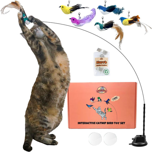 Interactive Catnip Bird Toy Set, Indoor Cat Toys, Cat Feather Toy with Self-Holding Suction Base, 5 Birds, Catnip