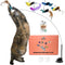 Interactive Catnip Bird Toy Set, Indoor Cat Toys, Cat Feather Toy with Self-Holding Suction Base, 5 Birds, Catnip