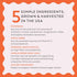 Diggin's Your Dog Super Snouts Pumpkin Latte Digestive Supplement for Dogs and Cats, 5 Ounce, Antibiotic Free
