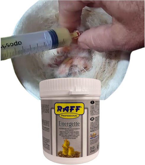 250g Raff Energette Hand Rearing Bird Food Baby Bird Hand Feeding Formula and Abandoned Chick Formula, Concentrated