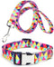 Dog Collar and Leash Set, Colorful Geometric Triangle Print for Small Medium Large Breed Female Dogs Girls, M