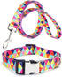 Dog Collar and Leash Set, Colorful Geometric Triangle Print for Small Medium Large Breed Female Dogs Girls, M